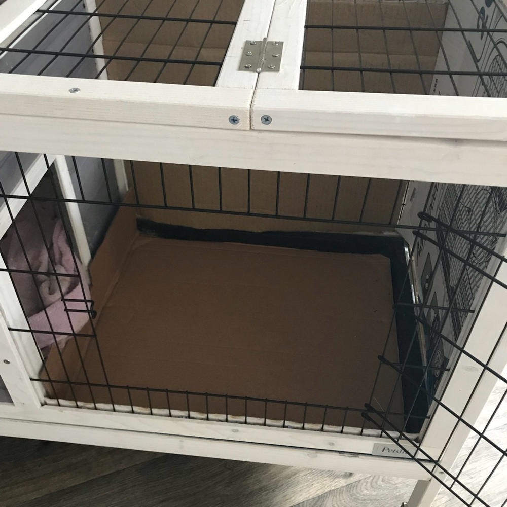 Cage